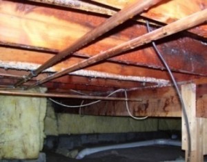 Crawl Space Excessive Humidity